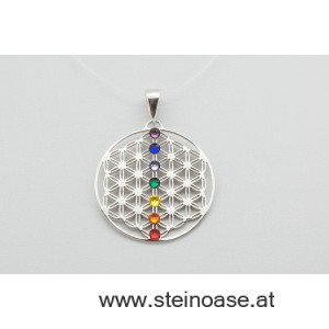 Chakra & Lebensblume Silber